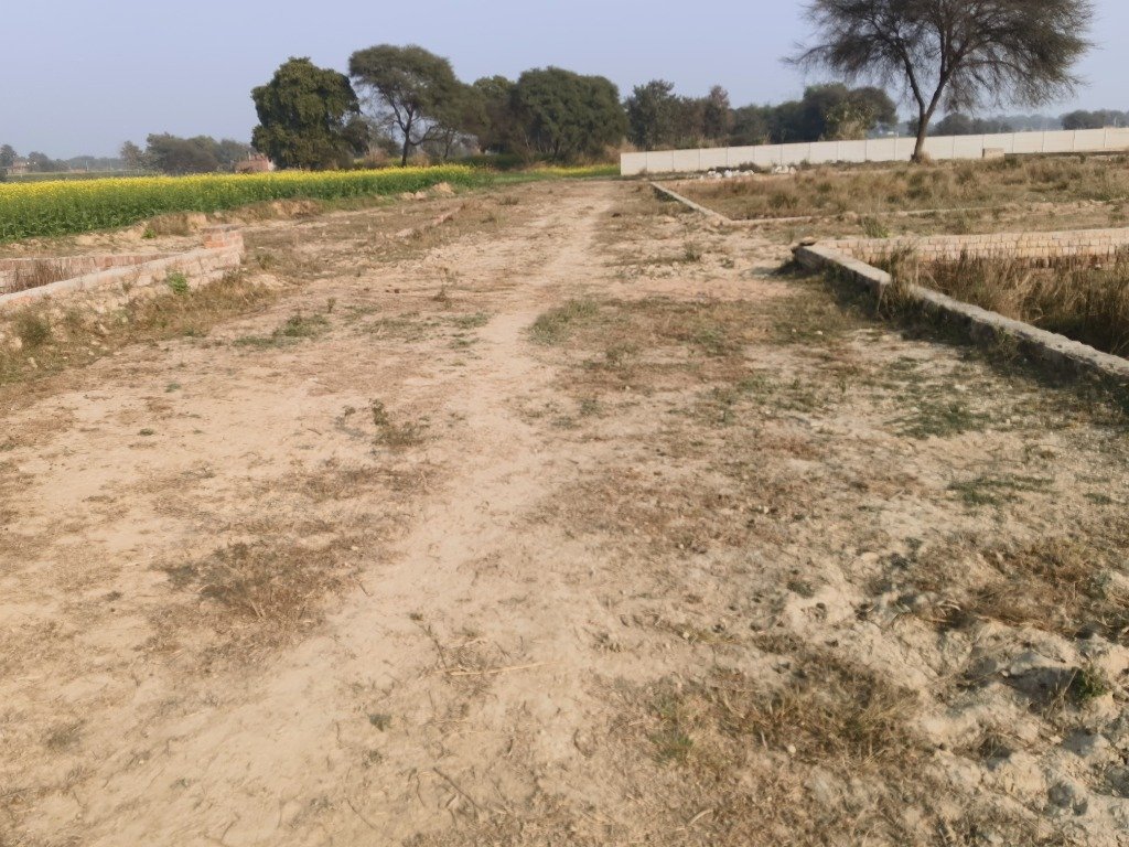 Internal Road with Green Fields