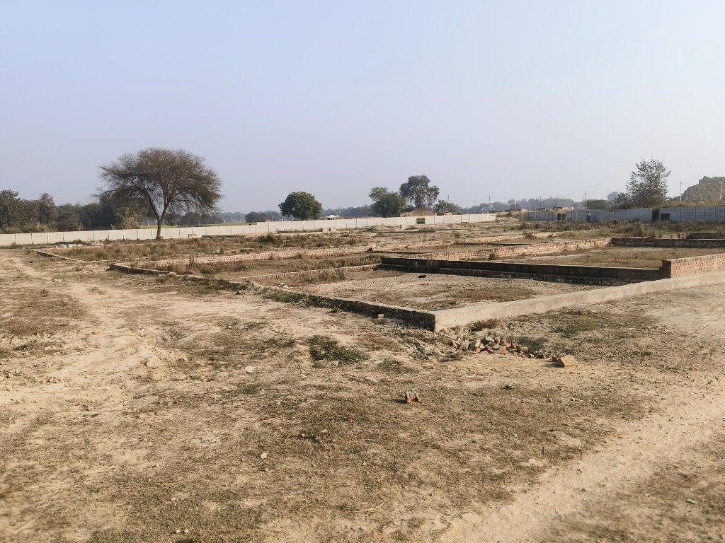 Full Site Overview with Plots