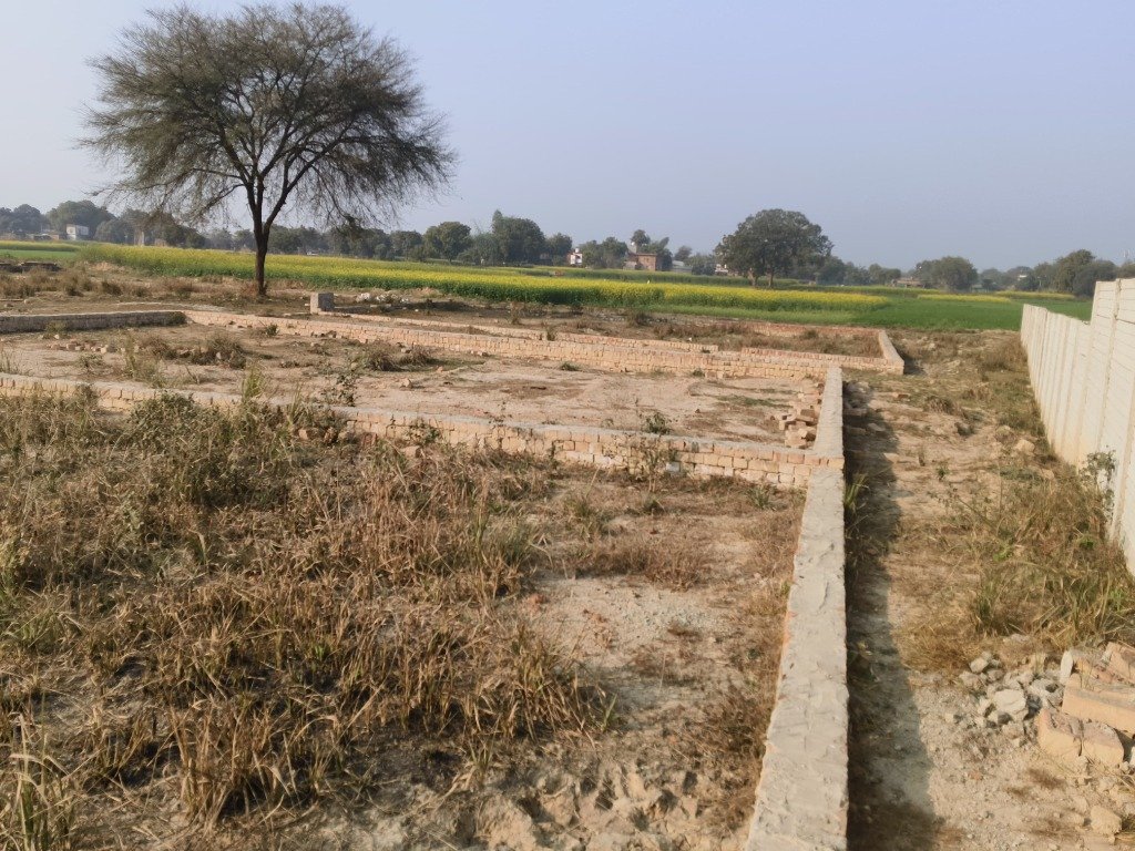 Site Panorama with Green Surroundings