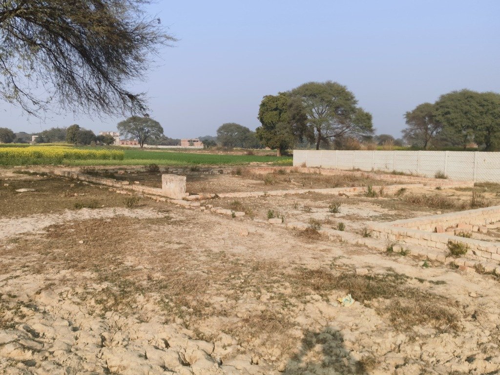 Green Surroundings and Plot Layout